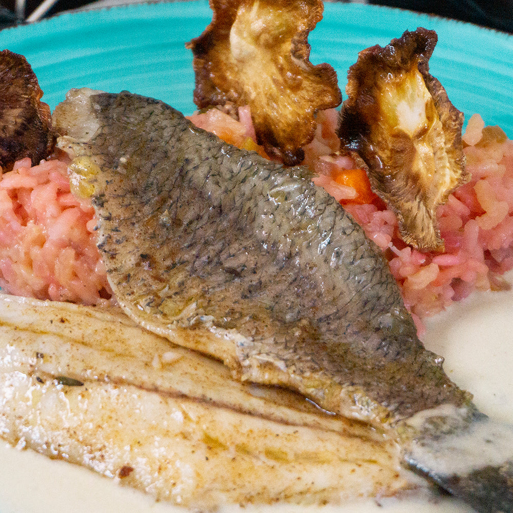Barramundi Filet auf rotem Risotto mit Weißwein-Soße