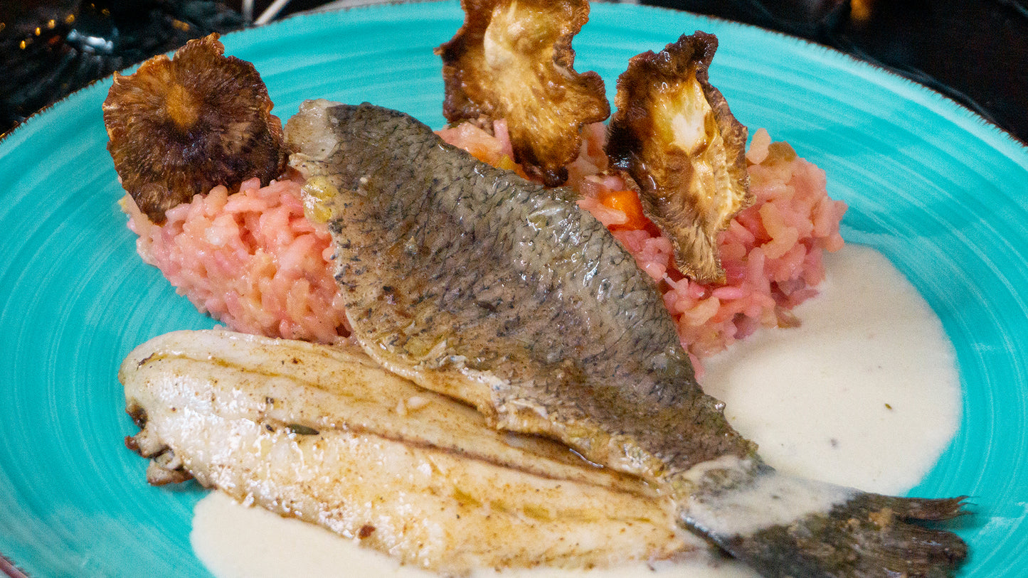 Barramundi Filet auf rotem Risotto mit Weißwein-Soße