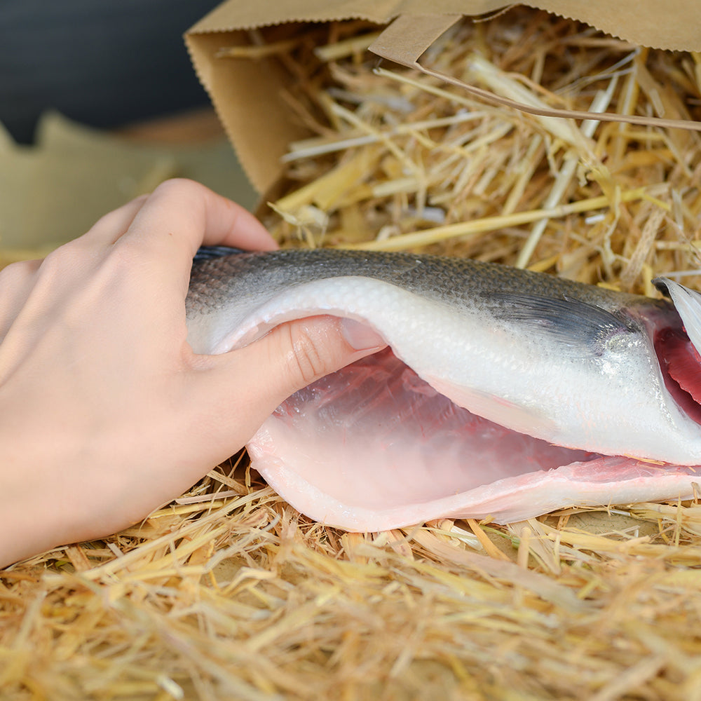 Fischfleisch und seine Qualität