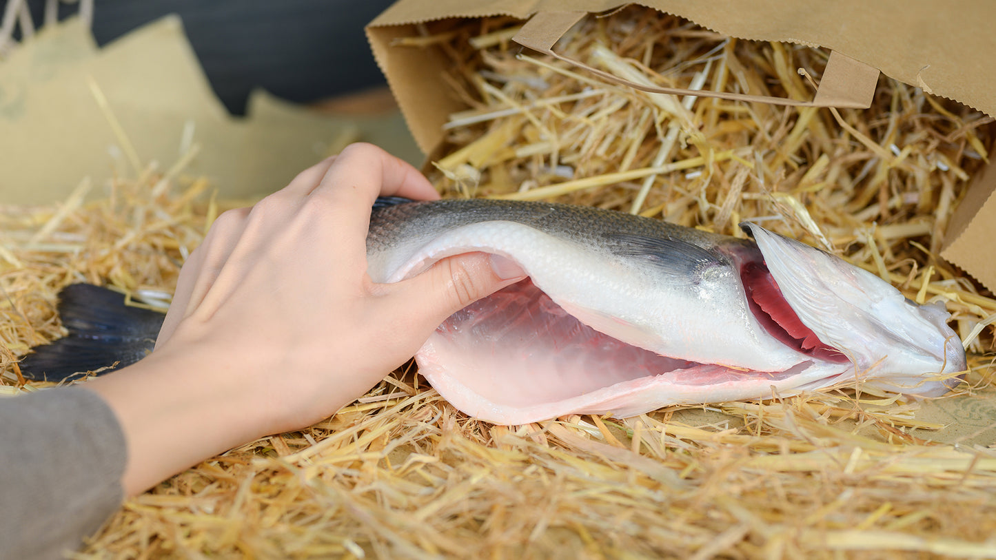 Fischfleisch und seine Qualität