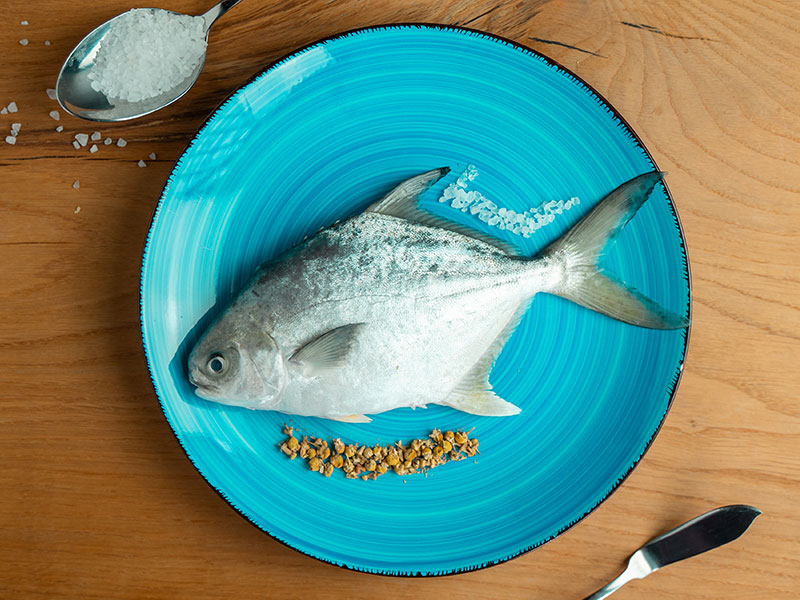 Pompano Filets in verfeinertem Rapsöl