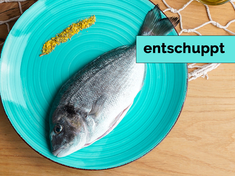 Dorade ganz entschuppt